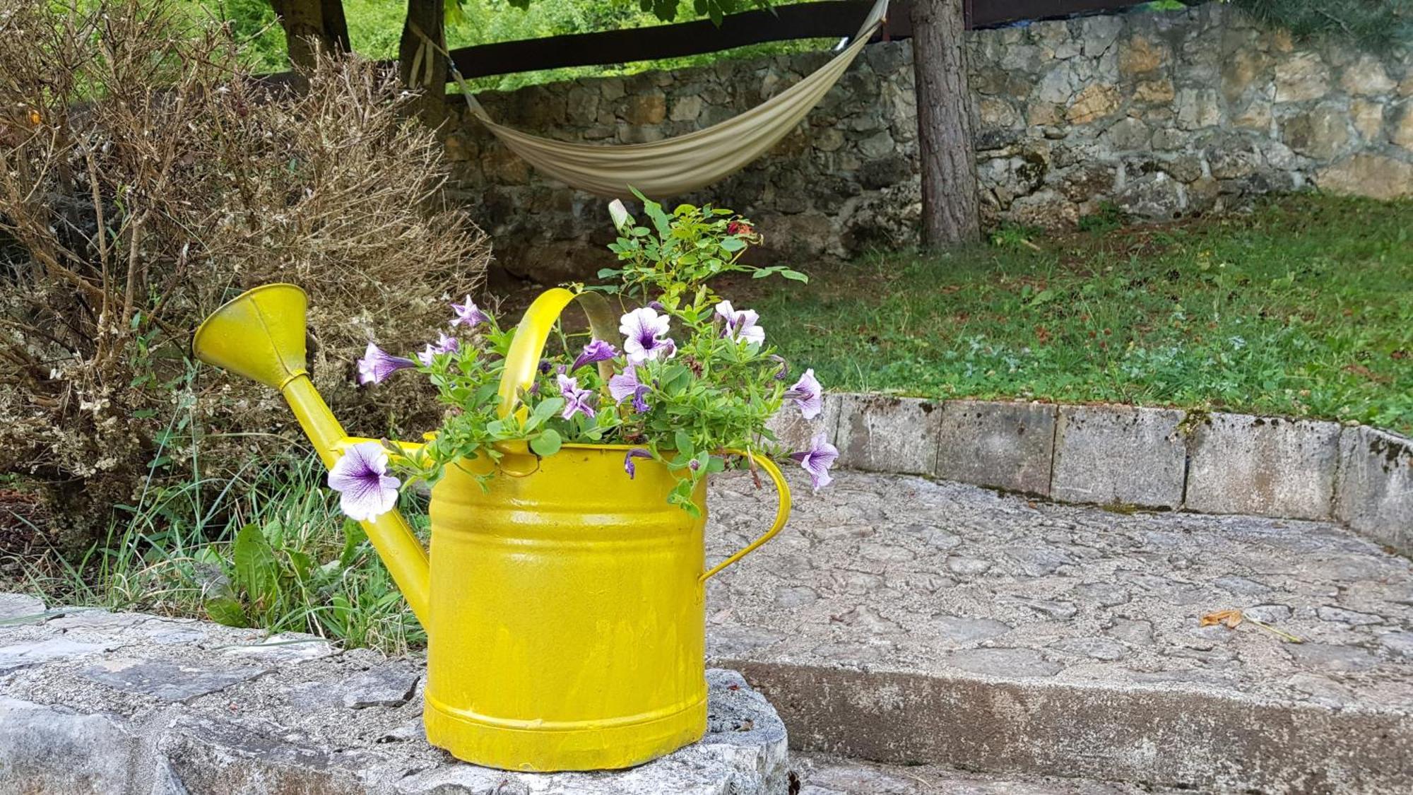 Guest House - Stari Javor B&B Prozor Exterior foto